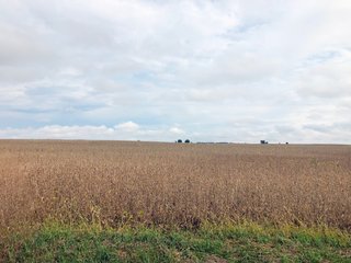 Property photo 2 - FARMLAND AUCTION - 76.15+/- ACRES IN 2 TRACTS IN RANDOLPH COUNTY, INDIANA